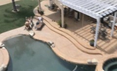 Big Titty Brunette Sucking Dick Outdoors Drone Footage