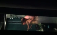 Hot Latina Caught Fucking In The Shower By A Window Peeper