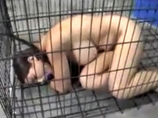 Sub Jane spent her holidays in a cage