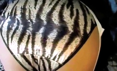 Zebra Satin Panties