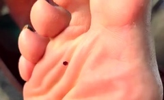 Black Amateur Explore Hot Foot Fetish