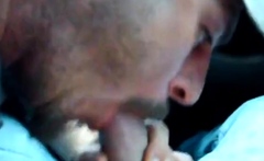 Stranger Blowjob for a Daddy Bear