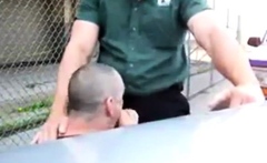 Daddy's Outdoor Lunch Break Blowjob