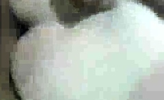 Anal fucked by a black cock while cheating on her bf pp