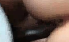 Hot young wife gets plowed by BBC while I'm at work bb